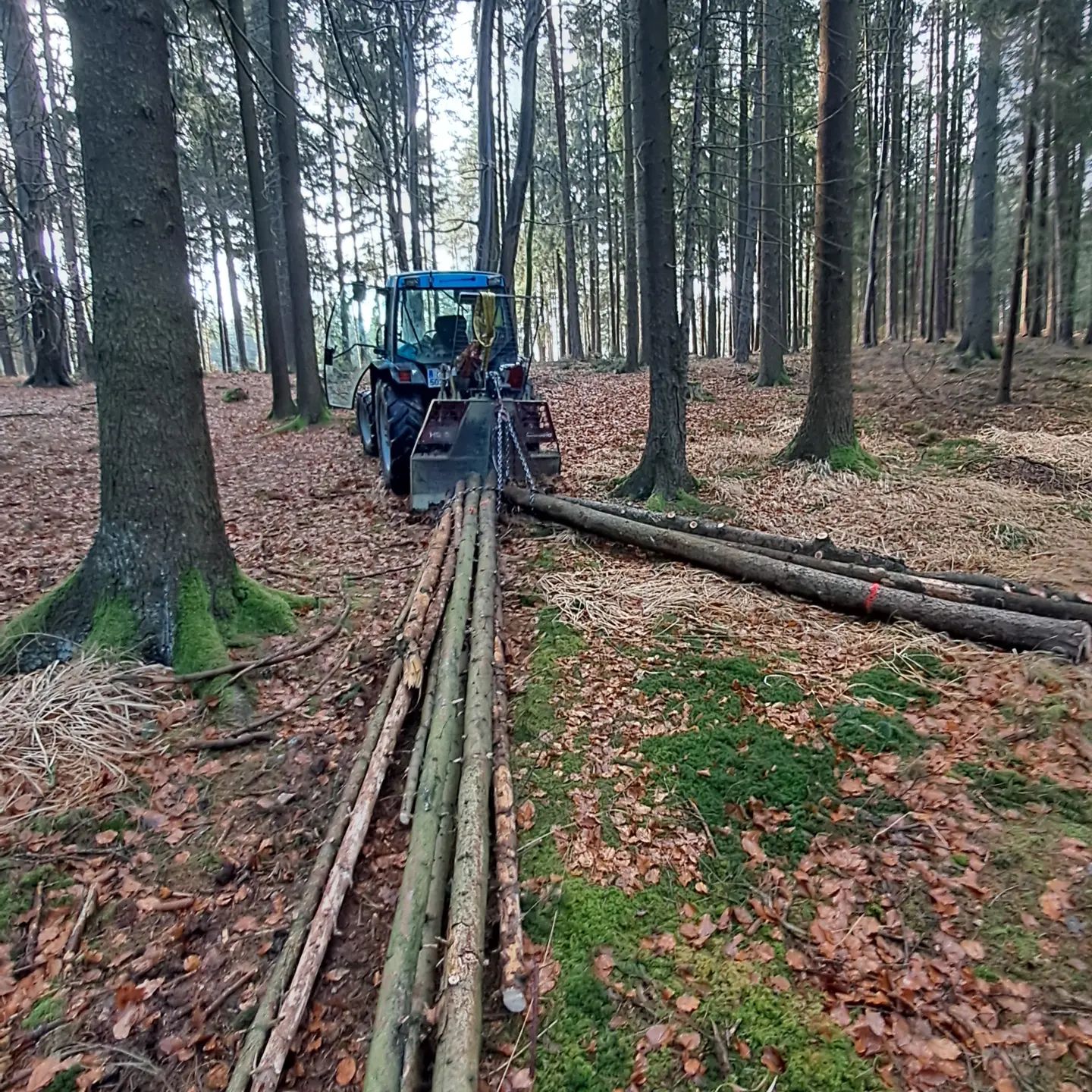 ASCHAUER Weinbau - Buschenschank