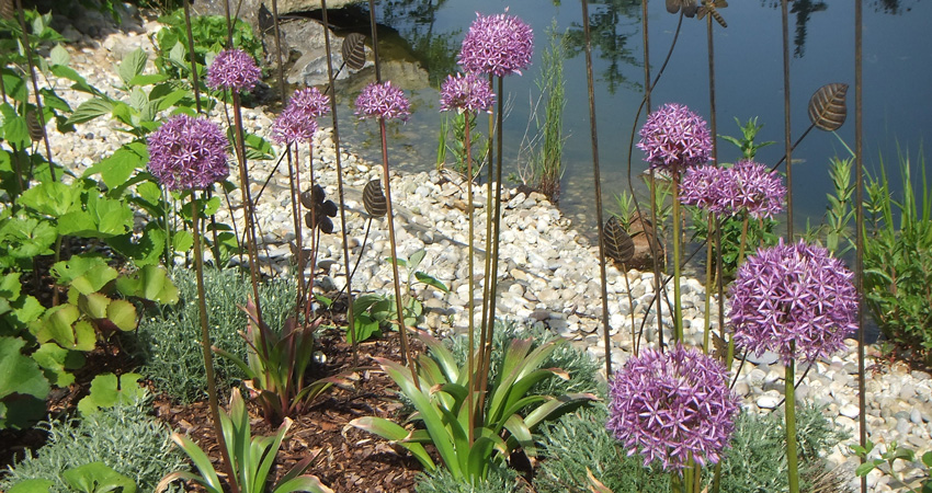 Garten Dobretzberger