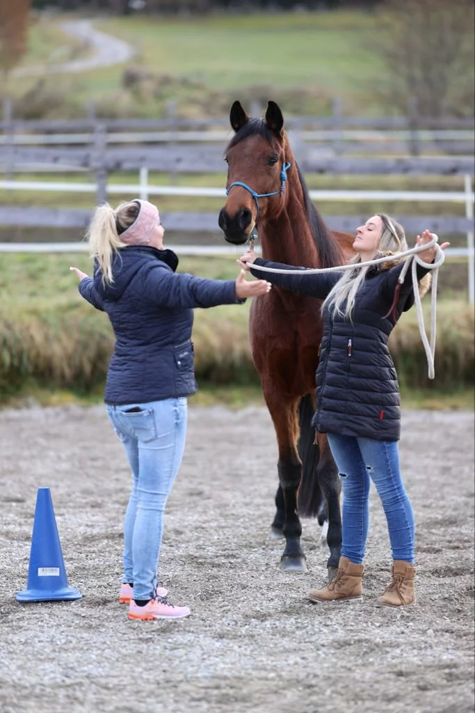 Horse and Human Consulting Katrin Rossegger