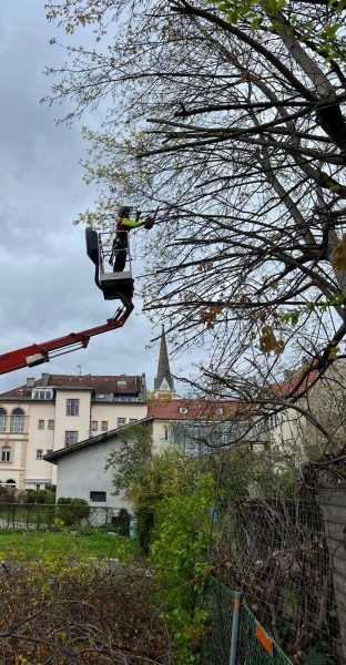 W&P Dienstleistungen – Hausmeisterservice – Gartenservice – Andreas Peinhaupt