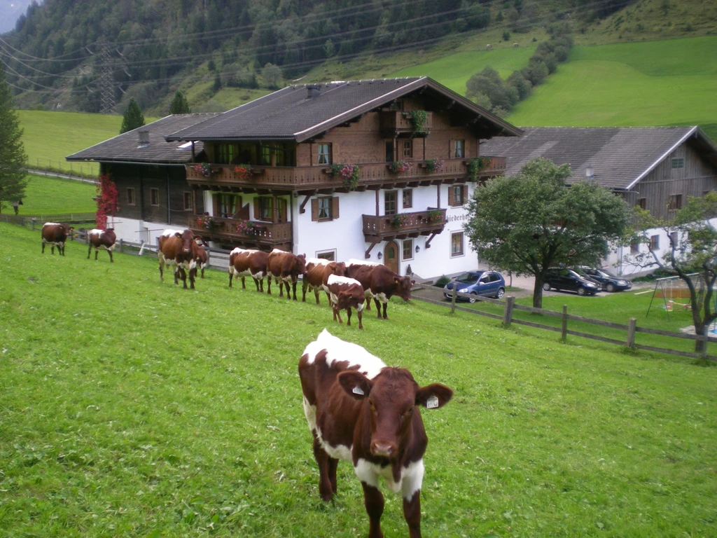 Schiederhof Johanna Seber